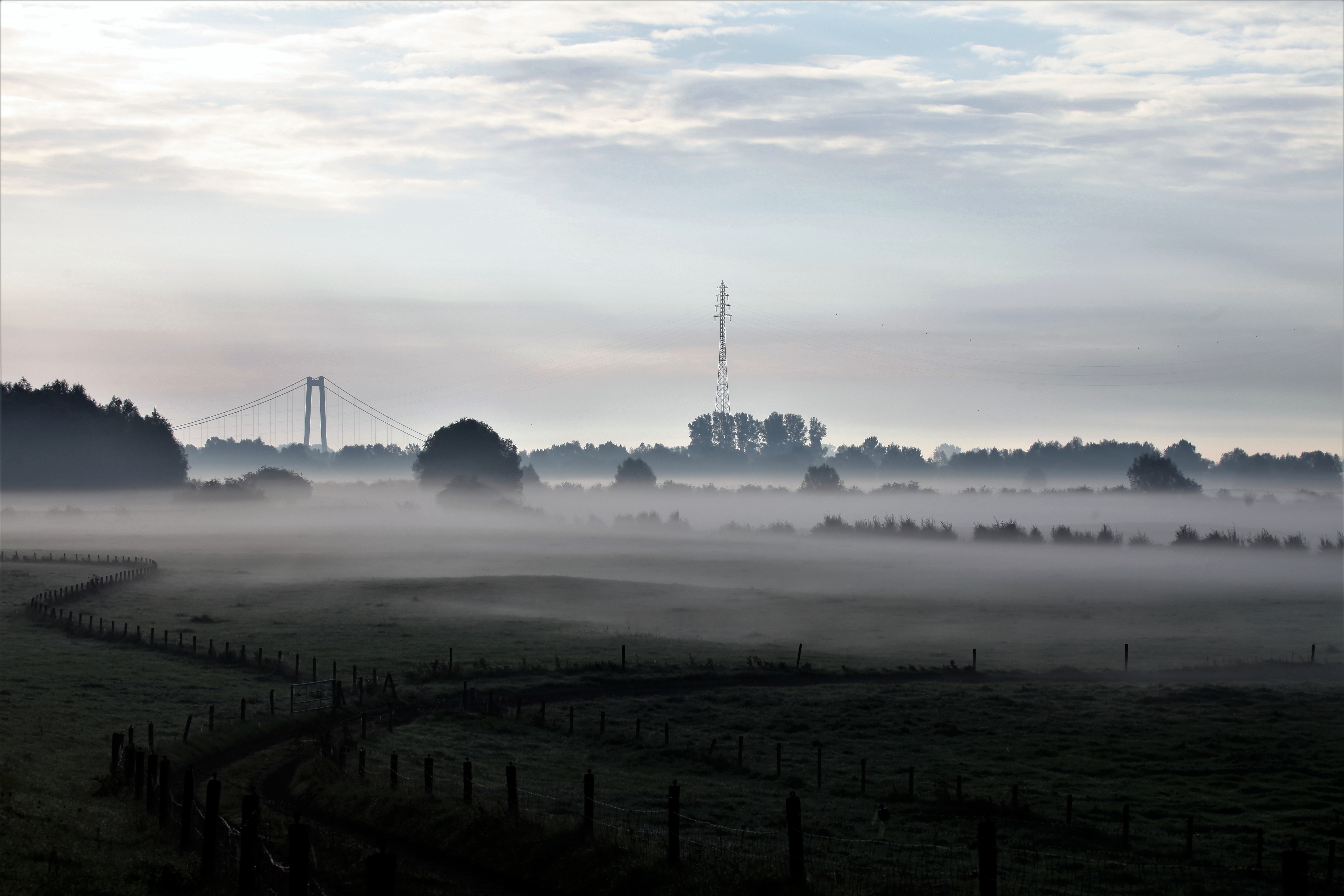 Auelandschaft_im_Nebel_-_Kopie